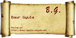 Baur Gyula névjegykártya